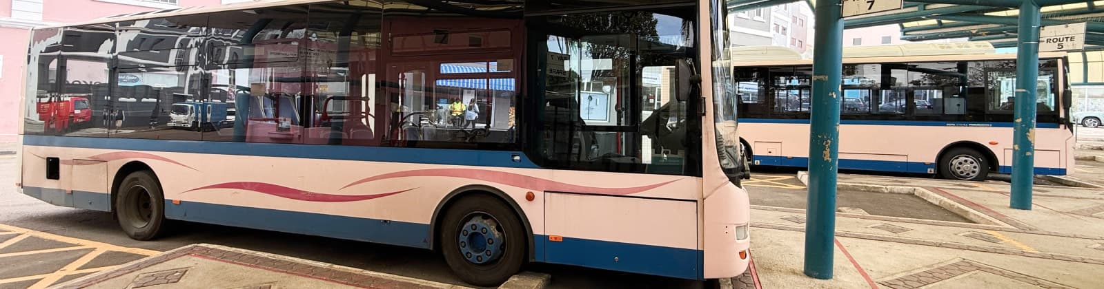 Pink and blue Bermuda bus in Hamilton