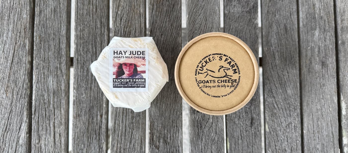 Tucker's Farm Goat Cheese featured image